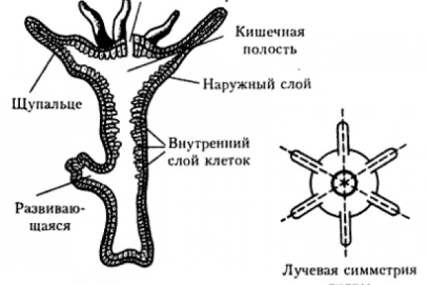 Mega market ссылка