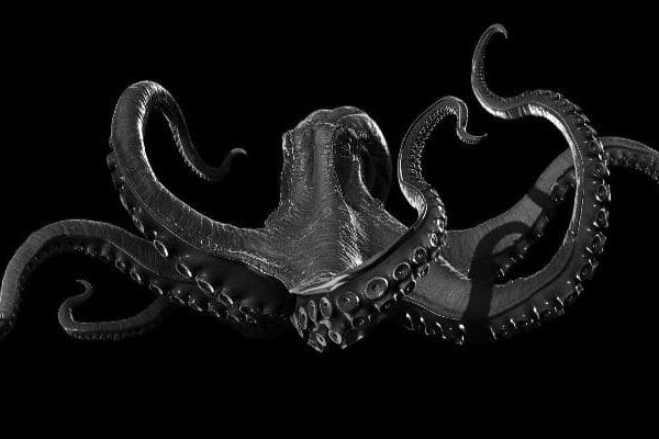 Kraken смылка