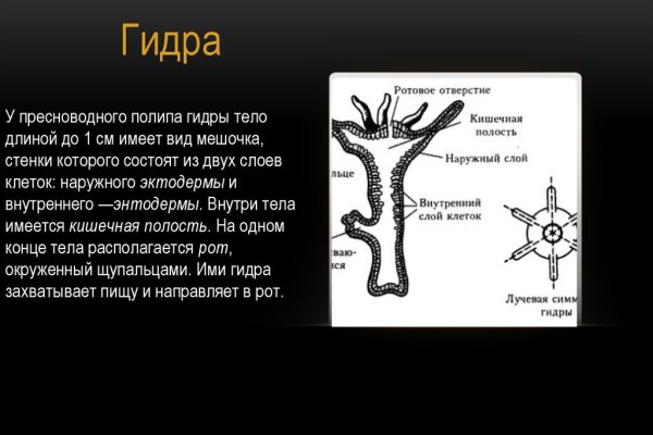 Кракен тор krakendark krakendark link