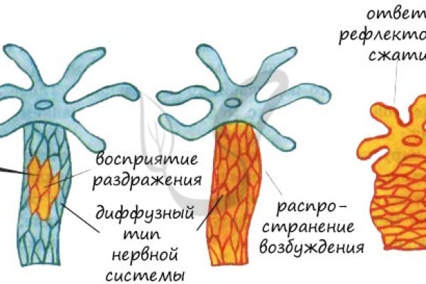 Сайт кракен рабочая ссылка